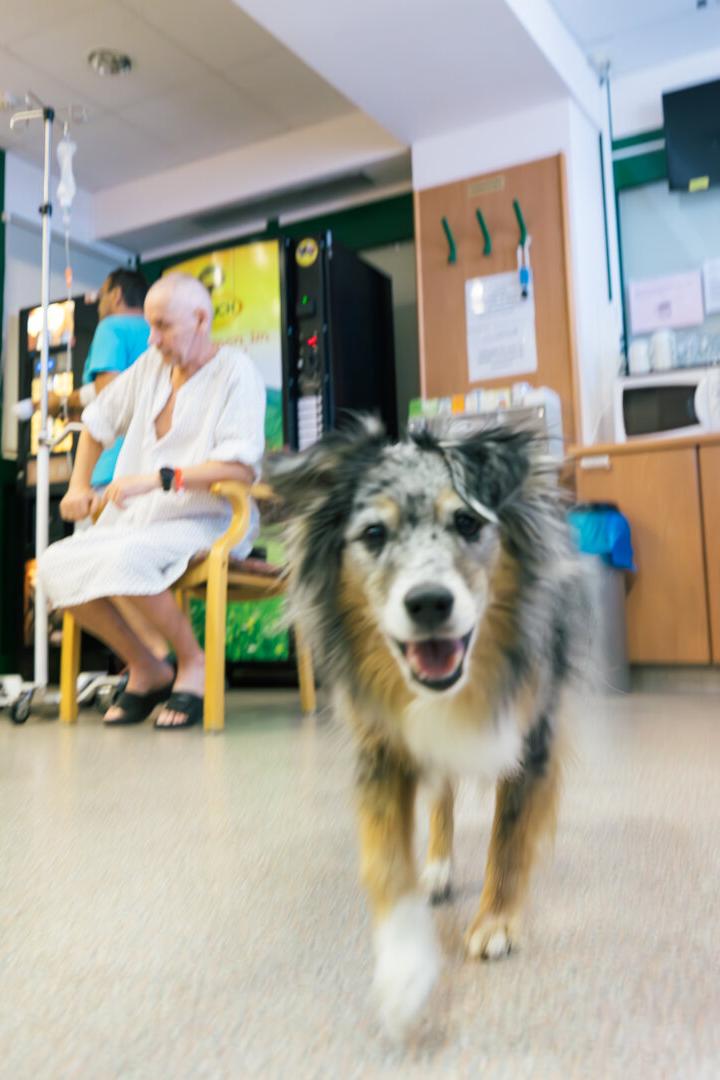 bei der Arbeit mit Onkologiepatientinnen und -patienten im Spital Wiener Neustadt