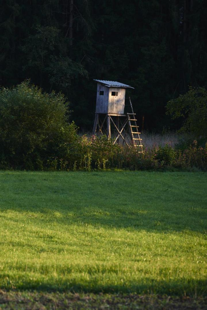 Symbolfoto: Hochstand in der Steiermark