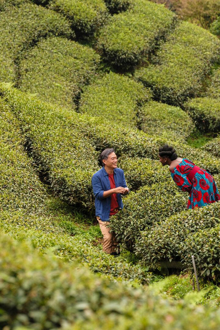 Ein Mann und eine Frau stehen auf einer Teeplantage und unterhalten sich.