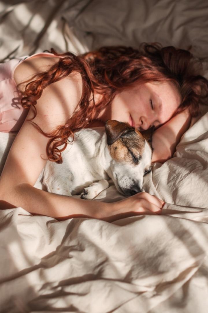 Frau und Hund schlafen in einem Bett