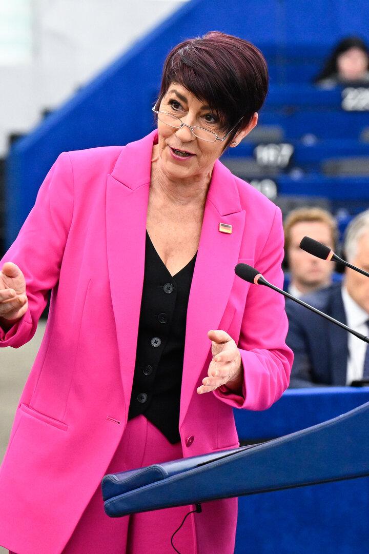 Christine Anderson, AfD