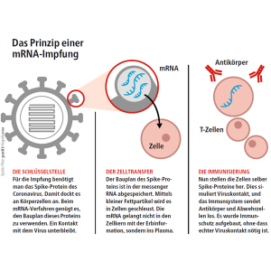 Wie Die MRNA-Impfstoffe Gegen Covid-19 Funktionieren