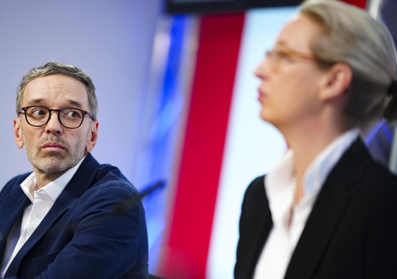 Herbert Kickl, Alice Weidel