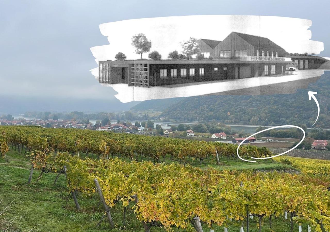 Der Ort Weißenkirchen von den Weinbergen aus fotografiert. Ein Weingarten im Tal ist eingekreist. Dort könnte ein Feuerwehrhaus gebaut werden.