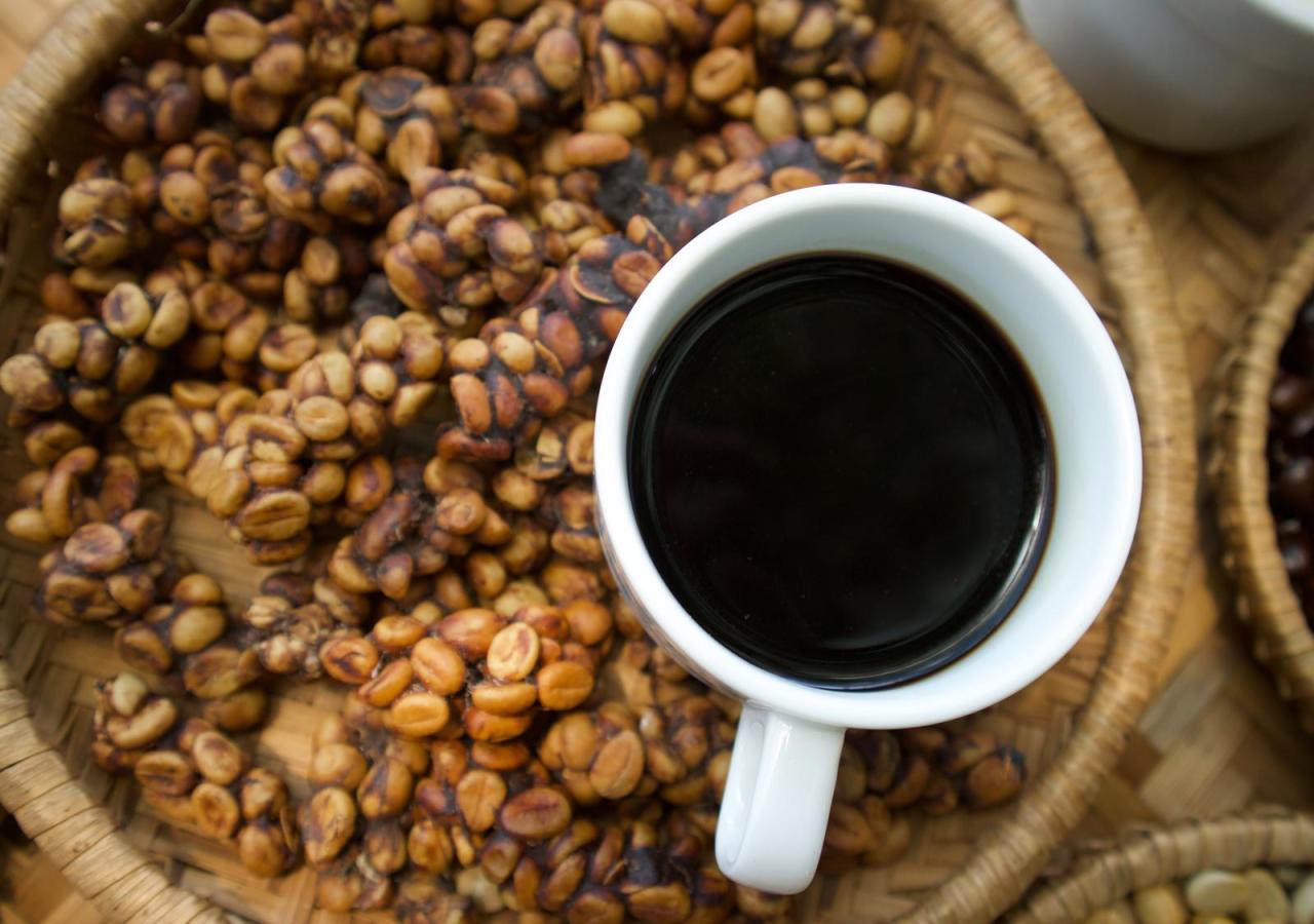 Das Bild zeigt eine Tasse mit schwarzem Kaffe auf einem Teller voller Kaffeebohnen. Es sind jene Bohnen, die von einer speziellen Schleichkatzenart gefressen und verdaut werden.