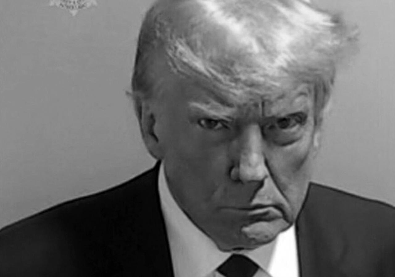 Donald Trumps Mugshot