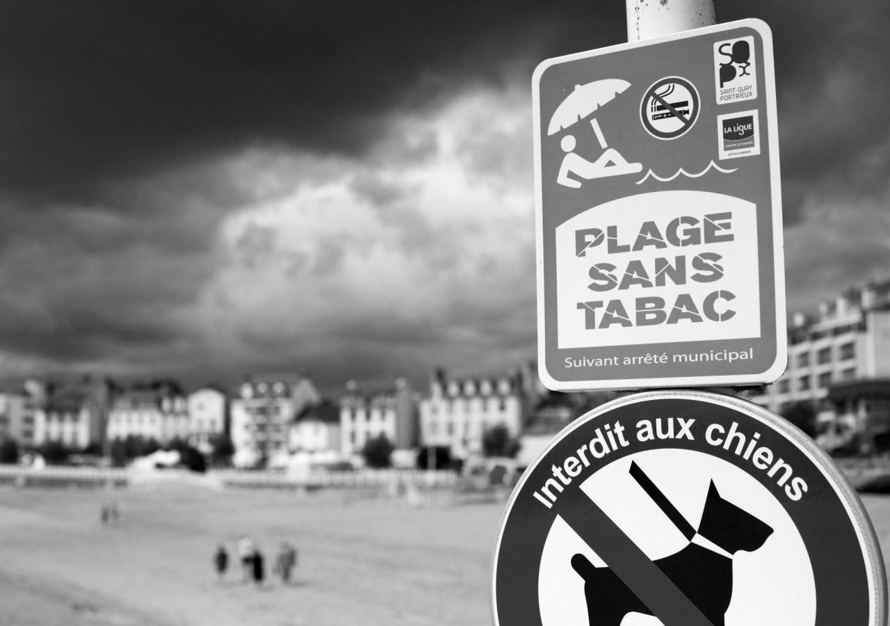 Ein Strand in Frankreich mit Schildern zu Hunde-, und Rauchverbot