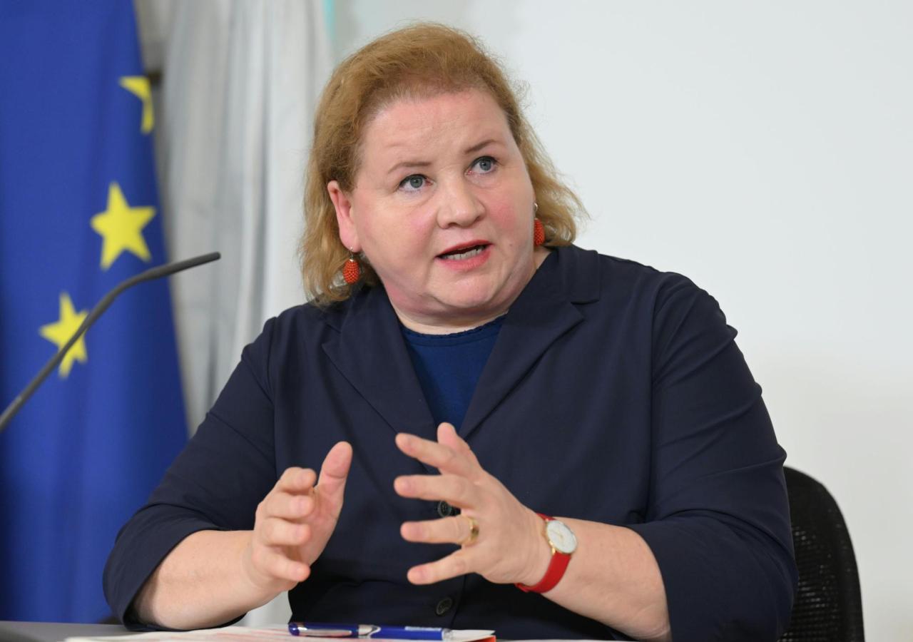 Eine Frau mit blonden Haaren spricht gestikulierend an einem Tisch, im Hintergrund ist eine EU-Flagge zu sehen.