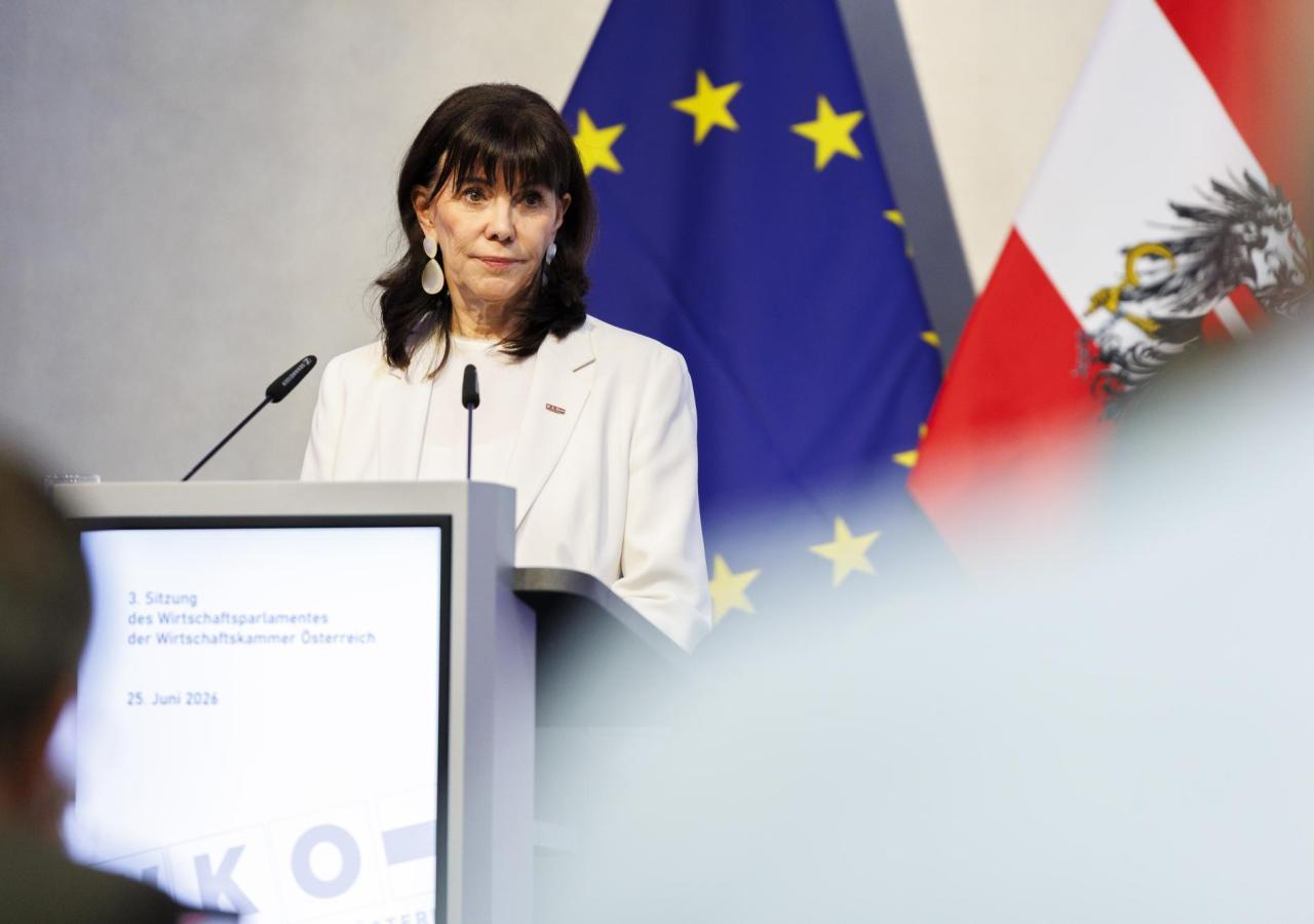 Frau mit dunklen Haaren und weißem Sakko steht hinter einem Rednerpult und vor der EU- und Österreichflagge