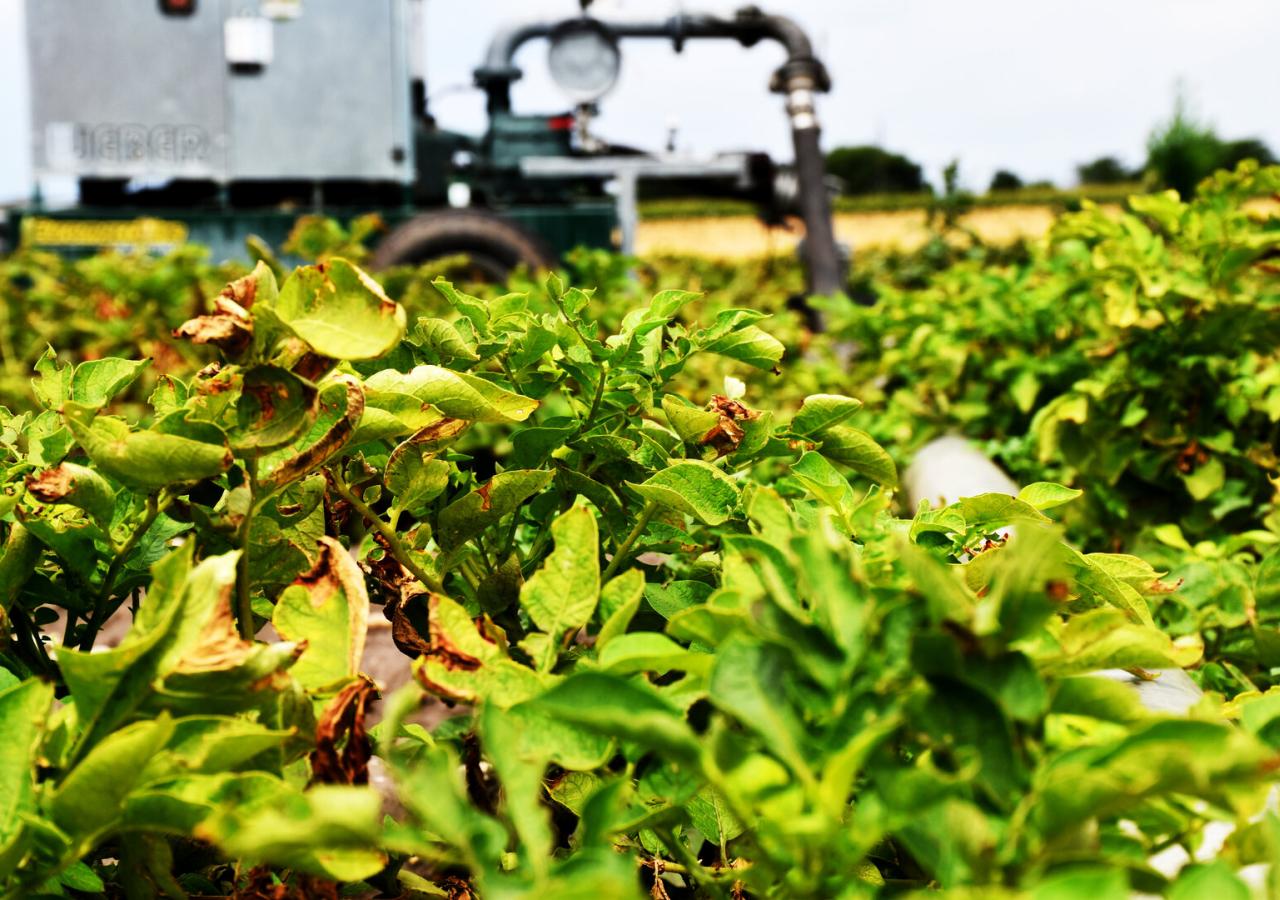 ein Feld wird von einem Traktor befahren