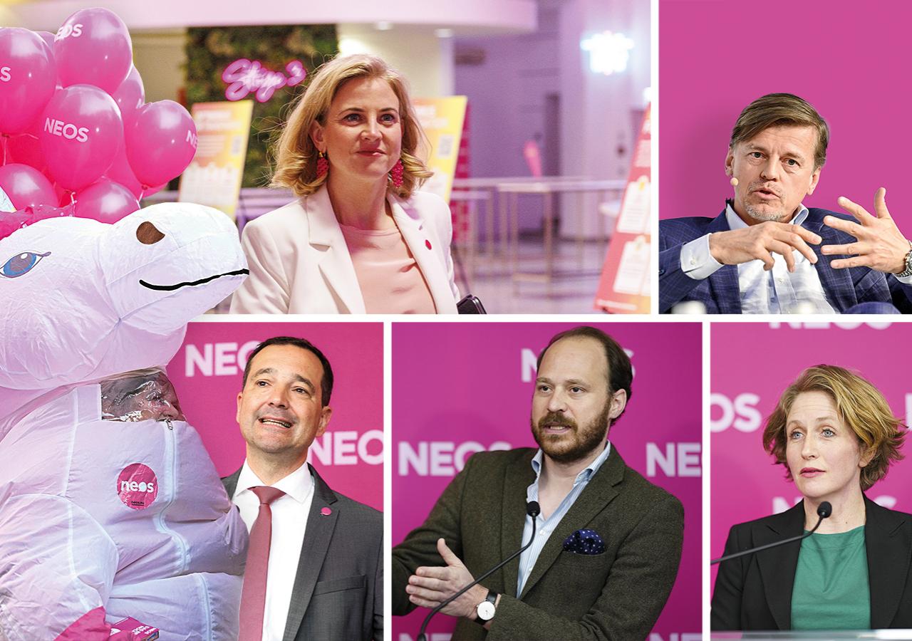 Collage mit Neos-Politikerinnen und Politikern und dem Einhorn-Maskottchen