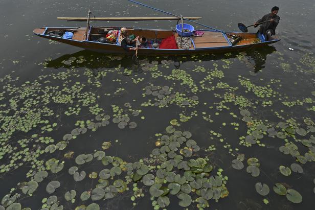 Ein Fischer rudert ein Boot am Dal-See. Ein Fischer rudert ein Boot am Dal-See.
