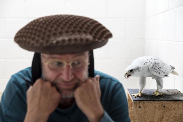 World Press Photo Contest 2019 Gewinner in der Kategorie "Nature Stories": "Falcons and the Arab Influence". Die Bilderstrecke dokumentiert das Wiederaufleben der Tradition der Falkenjagd in arabischen Ländern.