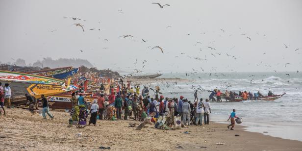 Farin Urlaub In Afrika Was Kommt Dahinter Profil At