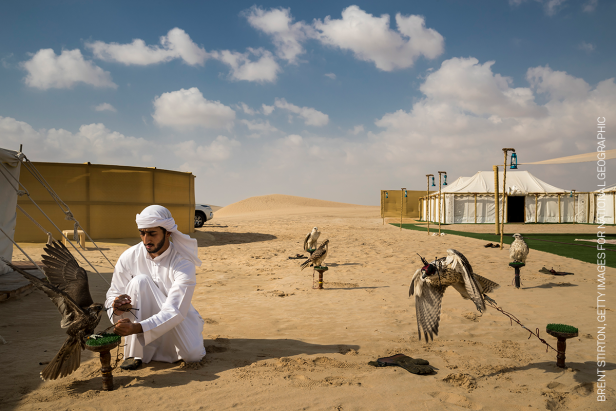 World Press Photo Contest 2019 Gewinner in der Kategorie "Nature Stories": "Falcons and the Arab Influence". Die Bilderstrecke dokumentiert das Wiederaufleben der Tradition der Falkenjagd in arabischen Ländern.