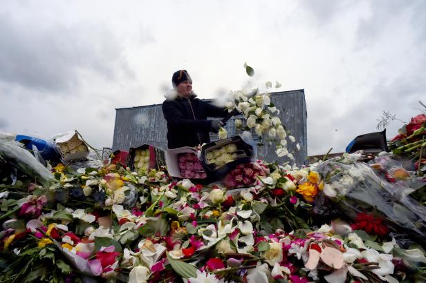 Mitarbeiter von Blumengeschäften zerstören unverkaufte Blumen aufgrund des Nachfrageverlusts während der COVID-19-Coronavirus-Pandemie in Sankt Petersburg. Mitarbeiter von Blumengeschäften zerstören unverkaufte Blumen aufgrund des Nachfrageverlusts während der COVID-19-Coronavirus-Pandemie in Sankt Petersburg.