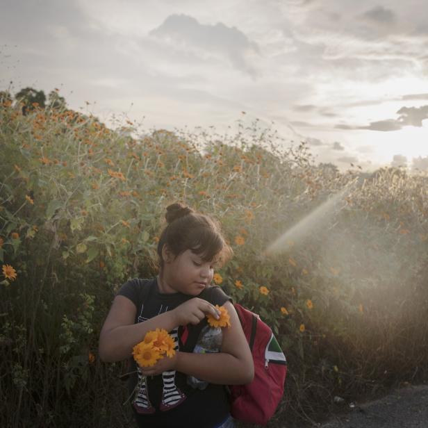 The Migrant Caravan: Gewinner in der Kategorie "World Press Photo Story of the Year" 2019. Die Bilderstrecke zeigt einen Karawan von lateinamerikanischen Migranten auf ihrem Weg zur US-amerikanischen Grenze.