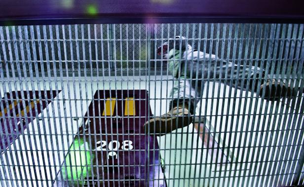 GUANTANAMO, KUBA: Von den knapp 800 Gefangenen, die in das Lager gebracht wurden, sind dort heute noch 41 inhaftiert. GUANTANAMO, KUBA: Von den knapp 800 Gefangenen, die in das Lager gebracht wurden, sind dort heute noch 41 inhaftiert.
