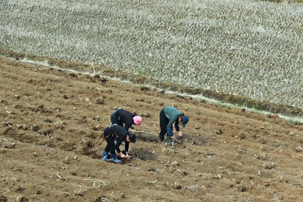 Nordkorea: Hunger hinter verschlossenen Türen Nordkorea: Hunger hinter verschlossenen Türen