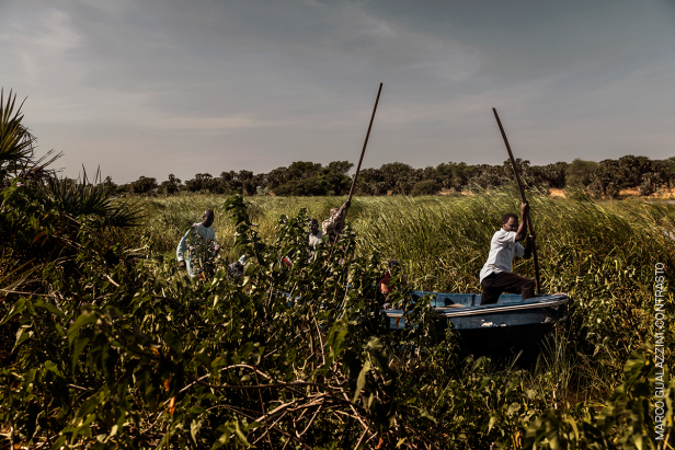 Gewinner in der Kategorie "Environment - Stories": "The Lake Chad Crisis". Die Bilderstrecke dokumentiert eine humaitäre Krise im Tschad, die sowohl durch politische als auch ökologische Faktoren ausgelöst wurde.