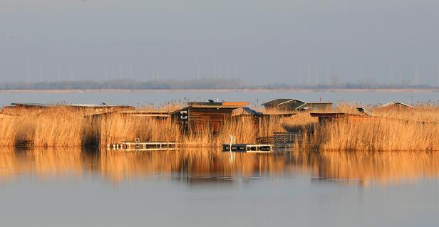 ++ THEMENBILD ++ WETTER / WINTER / BURGENLAND / NEUSIEDLER SEE
