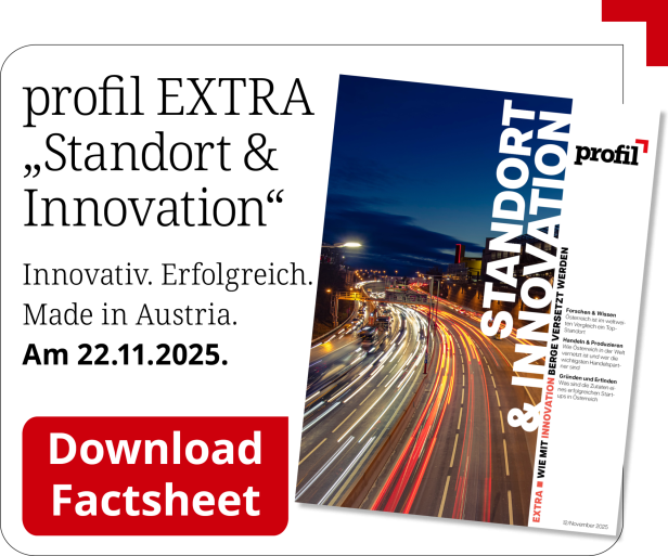 Factsheet profil EXTRA "Standort & Gesundheit"