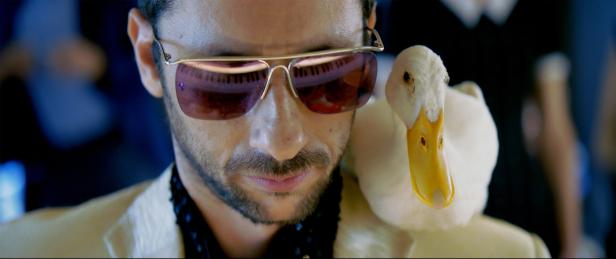 Mann mit Sonnenbrille und Gans auf der Schulter 