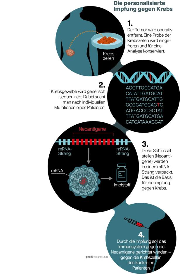 Die Grafik zeigt in einzelnen Schritten, wie mithilfe von mRNA ein Impfstoff hergestellt wird.