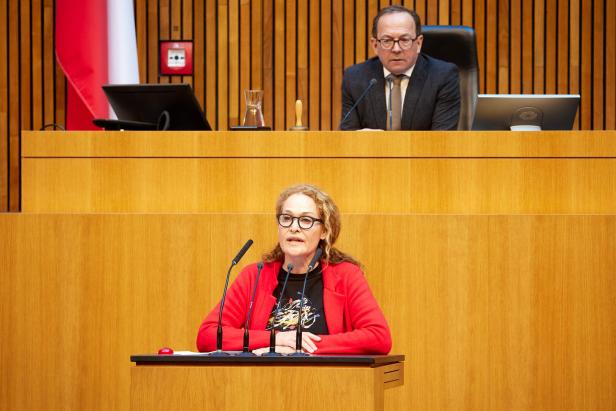 Marie-Christine Giuliani-Sterrer (FPÖ) bei der 13. Sitzung des Nationalrates in der 28. Gesetzgebungsperiode