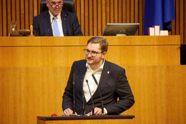 Sebastian Schwaighofer, FPÖ, bei der 11. Sitzung des Nationalrates in der 28. Gesetzgebungsperiode - Erklärungen des Bundeskanzlers, des Vizekanzlers und der Bundesministerin für europäische und internationale Angelegenheiten