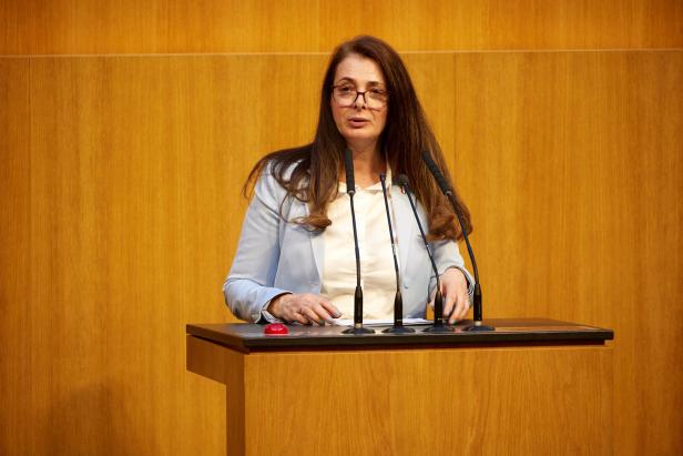 Katayun Pracher-Hilander (FPÖ) bei der 11. Sitzung des Nationalrates in der 28. Gesetzgebungsperiode - Erklärungen des Bundeskanzlers, des Vizekanzlers und der Bundesministerin für europäische und internationale Angelegenheiten