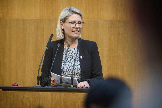 Ricarda Berger, FPÖ, bei der 30. Sitzung des Nationalrates in der 28. Gesetzgebungsperiode