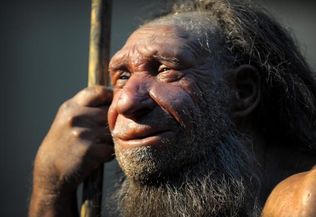 Neandertaler