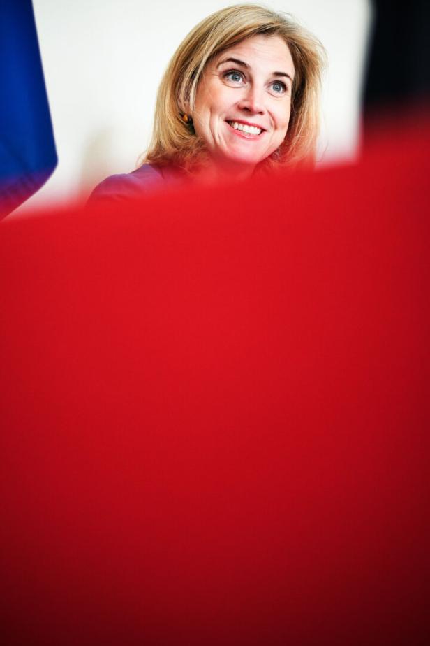 Beate Meinl-Reisinger