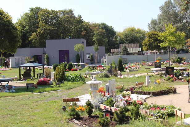 Tierfriedhof mit zahlreichen bunt geschmückten Gräbern und gepflegten Grünflächen bei Sonnenschein.