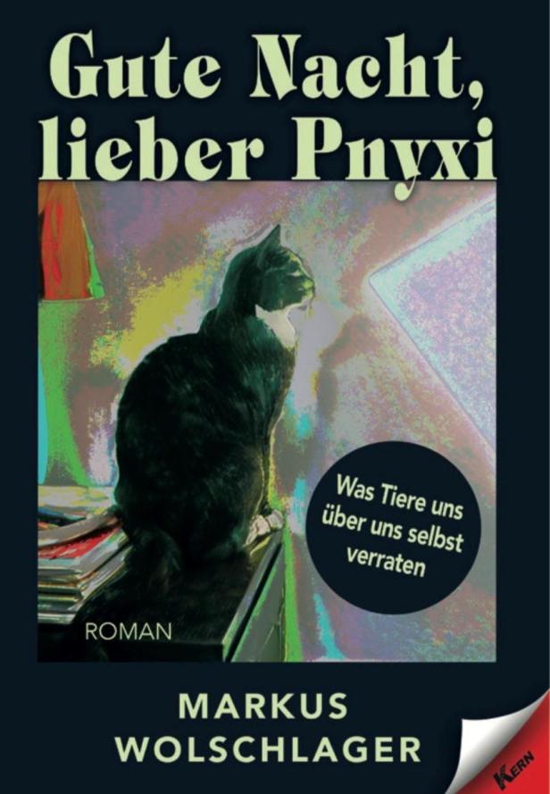 Ein schwarzes Buchcover mit einer schwarze Katze die auf einem Schreibtisch sitzt und in die Ferne blickt.