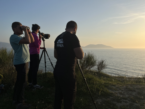 Drei Vogelschützer blicken von einer Klippe auf das offene Meer hinaus 