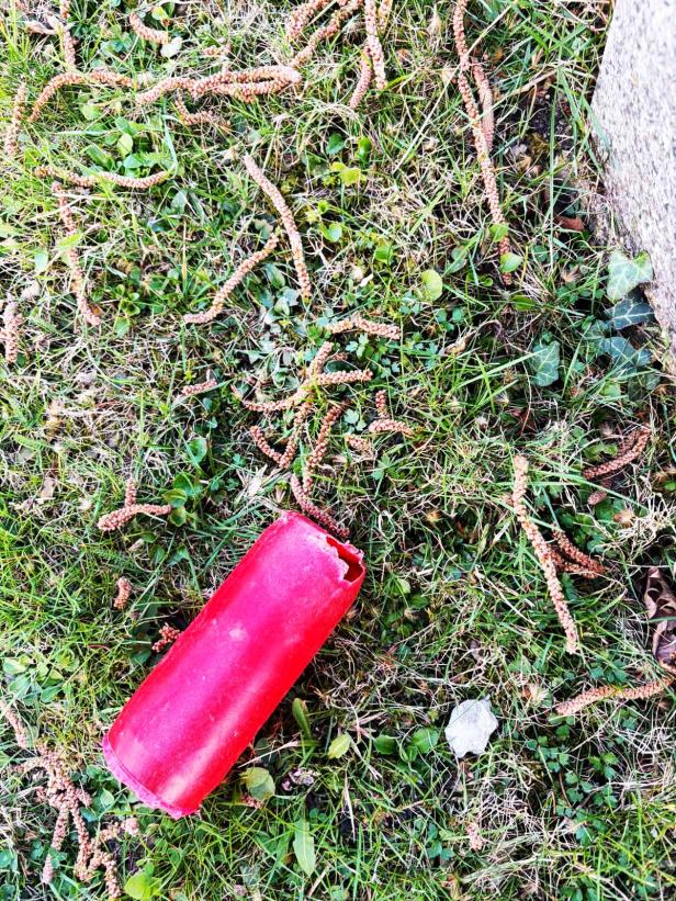 Eingang eines Feldhamsterbaus im Boden neben einem Grabstein, umgeben von Laub und Gras.