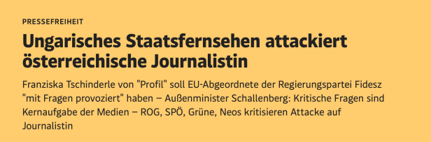 Der Screenshot zeigt eine Headline über die Attacke in der österreichischen Zeitung "der Standard"