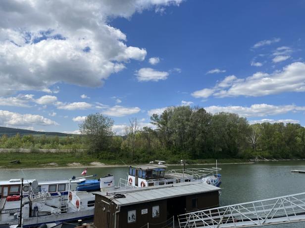 Mehrere Boote liegen an einem ruhigen Flussufer, im Hintergrund sind grüne Bäume und ein teils bewölkter Himmel zu sehen.