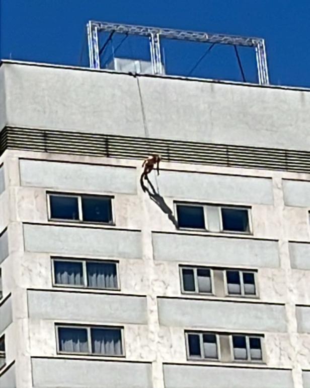 Frau seilt sich an Hotelfassade ab