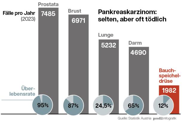 Grafik über Krebsfälle und Überlebenschancen in Österreich