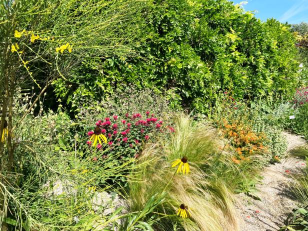 Buntes Beet: Vorne gelb der Sonnenhut, Frauenhaargras, in dunkelrot die Indianernessel, in orange die Seidenpflanze
