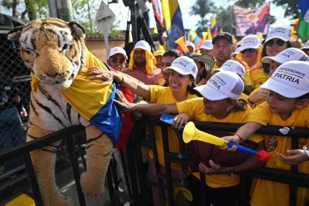 Espriella-Unterstützer haben einen Stofftiger auf einen Zaun gelegt.