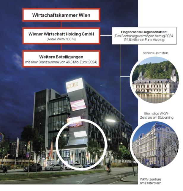 Organigramm der Wiener Wirtschaft Holding Struktur