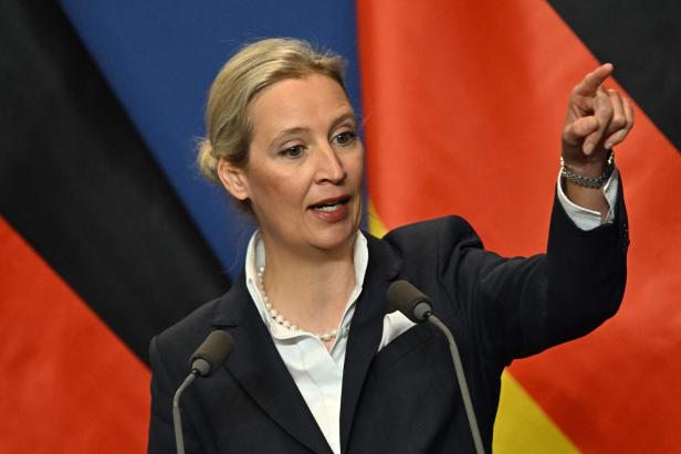 Alice Weidel spricht vor Mikrofonen vor einer Flagge in den Farben Schwarz, Rot und Gold.