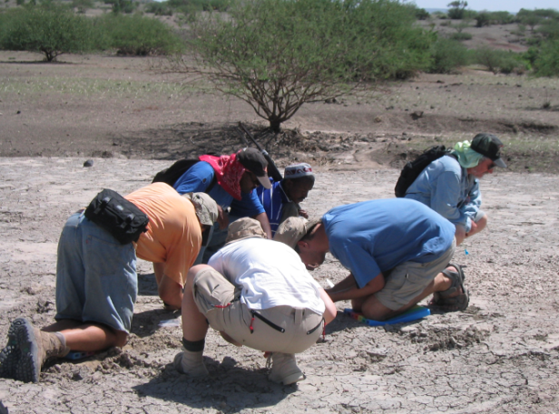 Im Wüstensand suchen Anthropologen nach Fossilien