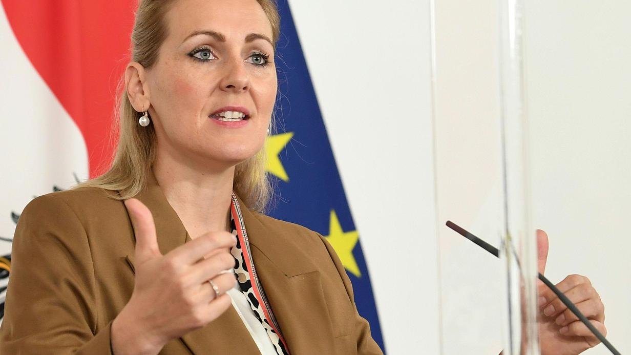 Plagiatsvorw rfe Gegen VP Ministerin Christine Aschbacher R cktritt
