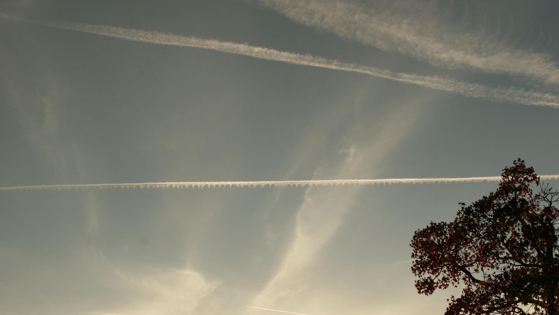 Verschwörungstheorien: Existieren \