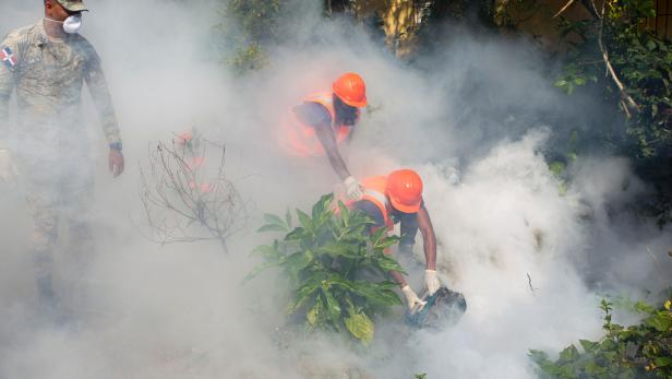 Dominikanische Einsatzkräfte im Kampf gegen die "Aedes aegypti"-Stechmücke. Dominikanische Einsatzkräfte im Kampf gegen die "Aedes aegypti"-Stechmücke.